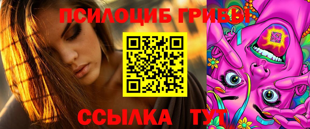 даркнет сайт  Вход с VPN  Павлово  Псилоцибиновые грибы GOLDEN TEACHER 