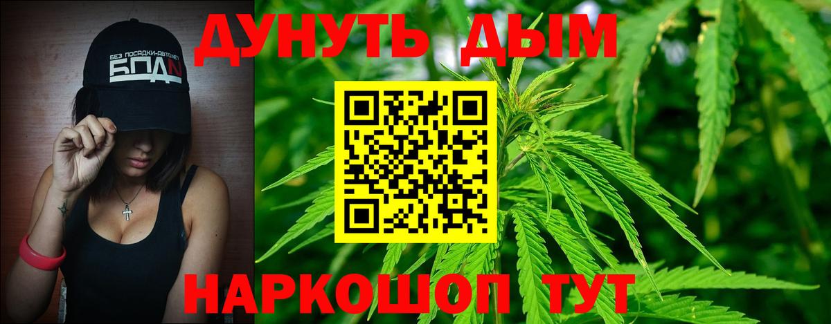 Конопля конопля Павлово